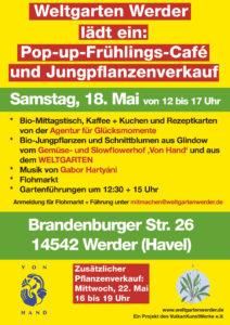 Jungpflanzenverkauf und Café am 18. Mai 2024 in der Brandenburger Str. 26