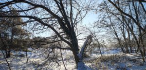 Winter im Weltgarten (c) Patrick Grabolle